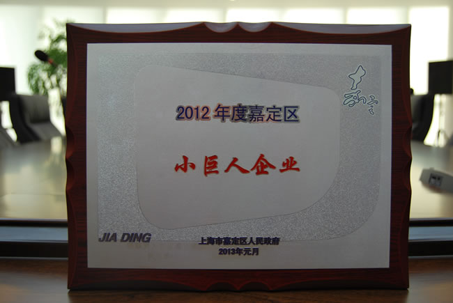 2012年度嘉定區(qū)小巨人企業(yè) 獎牌
